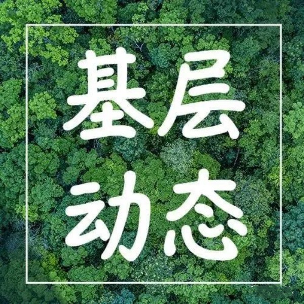 【标准化建设】稳扎稳打多措并举推进标准化建设工作（1）