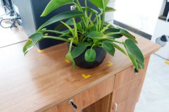 【高百标识】管理看板