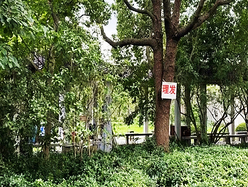 【目视化管理】宜家徐汇新店的目视化又做得怎么样呢？